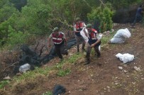 HINT KENEVIRI - Jandarmadan Uyuşturucu Operasyonu