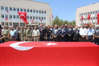 TARIM İŞÇİSİ - Öksüz Şehit Toprağa Verildi