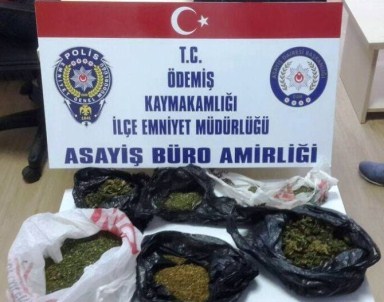 500 Gram Esrarla Yakalandı