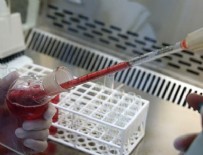 KAN GRUBU - 'İnsanlara 1 yıl sonra yapay kan verilmeye başlanacak'