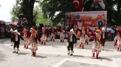 Karacaoğlan Kayısı Kültür Ve Sanat Festivali Çeşitli Etkinliklerle Başladı