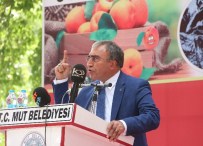 OKTAY ÖZTÜRK - MHP Genel Başkan Yardımcısı Oktay Öztürk'ten, Alman Meclisine Sert Tepki