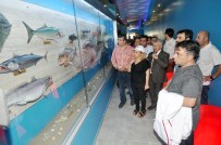 Türkiye'nin İlk Balık Replika Müzesi Adana'da Açıldı