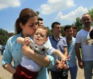 Bursa'da 750 Araç, Yusuf Bebek İçin Toplandı