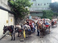 FAYTON - Bursa'da Fayton Keyfi Yaşatılıyor