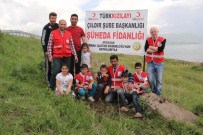 ÇıLDıR GÖLÜ - Çıldır Kızılay Şube Bakanlığından Şüheda Fidanlığı