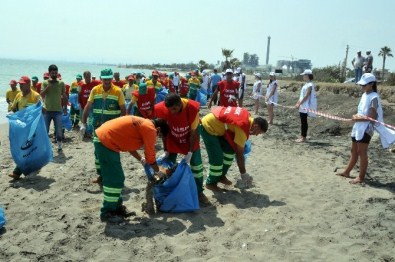 Deniz Kaplumbağalarının Üreme Alanları Temizlendi