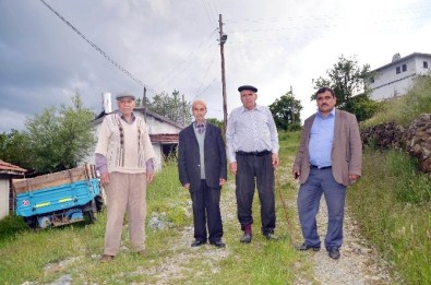 Ermeni Vatandaşlardan Almanya'ya Tepki