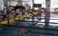 Okul Sporları Yıldızlar Final Yüzme Yarışları Sona Erdi