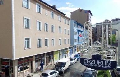 Pelit Meydanı'nda Estetiksel Harikalar