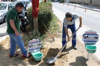 Türkiye'ye Örnek, Hayvan Dostu Taksi Durakları