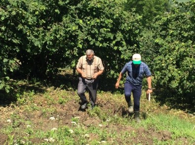 Dolu Yağışının Ardından Hasar Tespitleri