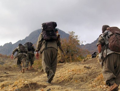 ABD dergisinden PKK'ya talimat gibi makale!