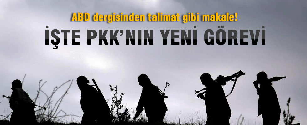ABD dergisinden PKK'ya talimat gibi makale!