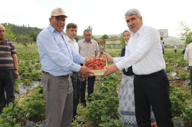 Başkan Musa Yılmaz Açıklaması Domaniç'teki Başarılı Proje Ve Uygulamalar Örnek Olsun