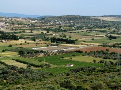 Çeşme Tarımsal Kalkınma Kooperatifi Kuruluyor