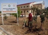 TERMAL TESİS - Esire Termal Turizm Merkezi'nde Çevre Düzenlemesi