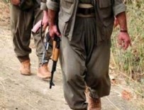 Giresun'da çatışma! 1 terörist öldürüldü