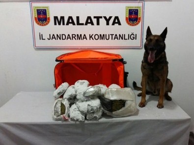 Jandarmadan Asayiş Uygulaması