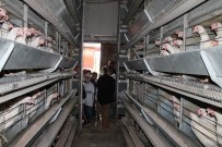 BÜLENT BAYRAKTAR - Bayburt'ta 'Lider Çocuk Tarım Kampı' Sona Erdi