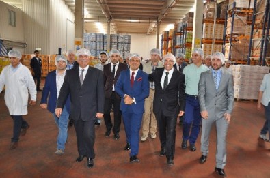 Bizce Yağ İSO 500'De Rekor Yükseliş