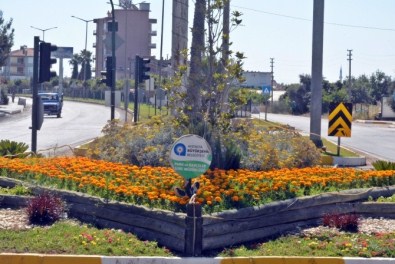 Demre 50 Bin Çiçekle Rengarenk Oldu