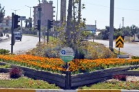 Demre 50 Bin Çiçekle Rengarenk Oldu