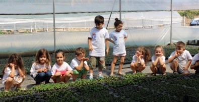 Didimli Minik Çevreciler Serada Tohum Ekti