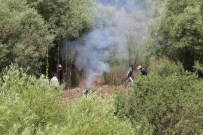 Hevsel Bahçeleri'nde 50 Bin Kök Hint Keneviri Ele Geçirildi