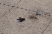 UÇAKSAVAR - Kilis Bu Kez De Doçka Uçaksavarların Hedefi Oldu