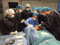 KADIN DOĞUM UZMANI - Özel Kadavrada Video Cerrahi Kursu