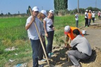 Yemyeşil Bir Ayvalık Hedefine Bir Adım Daha