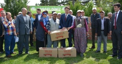 85 Üreticiye 1 Milyon 38 Bin Çilek Fidesi