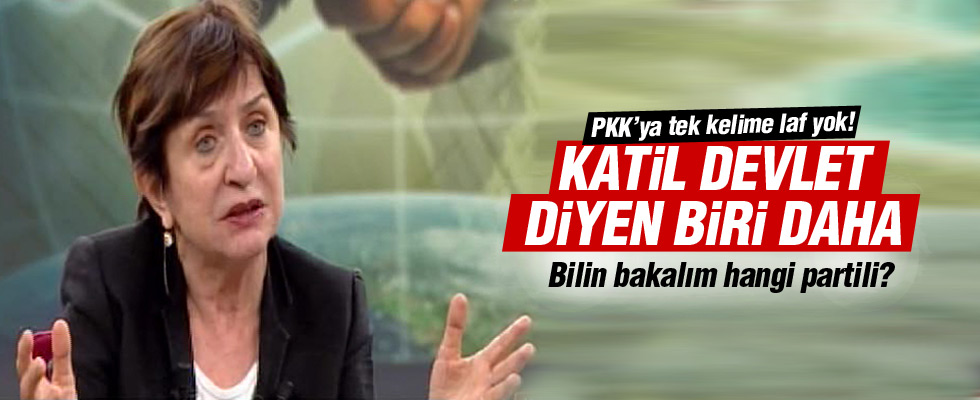 Binnaz Toprak: Pkk değil devlet katliam yaptı