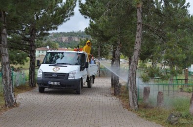 Bünyan Belediyesi Mezalıklarda Bakım Ve İlaçlama Yapıyor