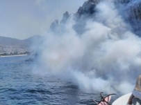 HÜSEYIN GÜNEY - Denizden Sinekle Mücadele