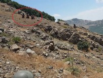 Lice'deki operasyonda 5 terörist etkisiz hale getirildi