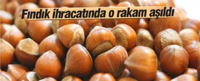 Fındık ihracatı 2 milyar doları aştı