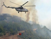 SİGARA İZMARİTİ - Orman yangınlarında 'terör izi' yok