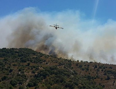 Bodrum'da makilik alan yangını