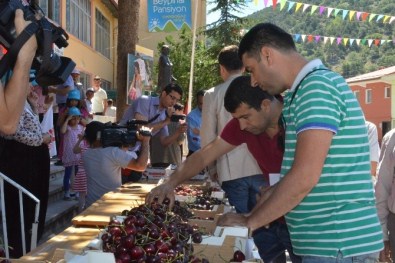 Darboğaz Kiraz Festivali Düzenlendi