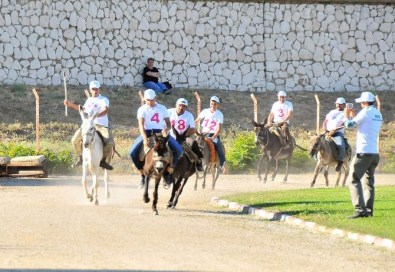 'Eşeğe Düz Binme', 'Eşeğe Ters Binme' Ve 'En Güzel Gözlü Eşek' Yarışmaları