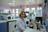 DÖNER SERMAYE - Prof. Dr. Güllüce; 'Tüm Çalışanlarını Kucaklayan, Huzurlu Ve Bilim Odaklı Bir Üniversite Vaat Ediyorum'