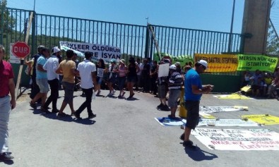 Akkuyu Nükleer Santrali'nde Bilirkişi Heyeti'nin İncelemesi Başladı