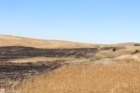BEZIRHANE - Anız Ateşi Yüzlerce Dönüm Ekili Araziyi Yaktı
