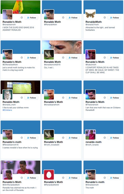 Dev finalde stadı kelebekler bastı