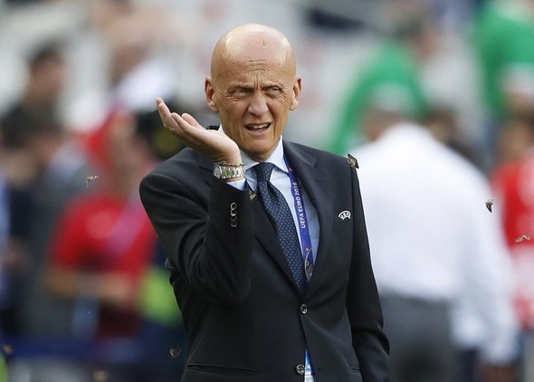 Dev finalde stadı kelebekler bastı