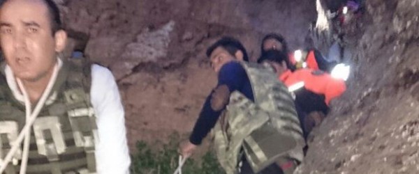 Kars'ta ayılar aileye saldırdı