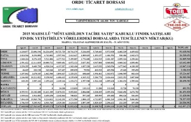 10 Ayda 542 Bin Ton Fındık Pazara İndi