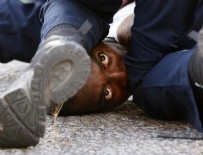 LOUISIANA - ABD'de siyahilere göç çağrısı